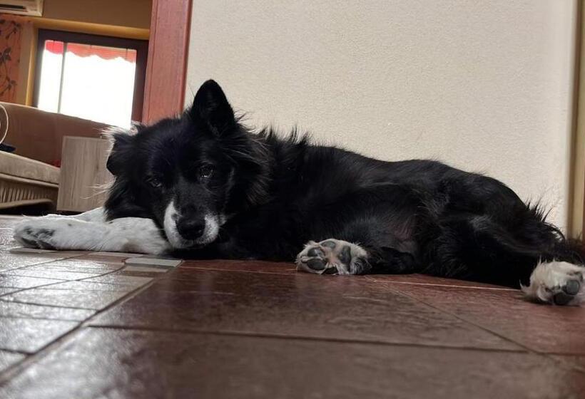 חדר סטנדרט, Penzión Tyché