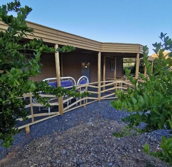 Номер Стандарт, Naseem Country House