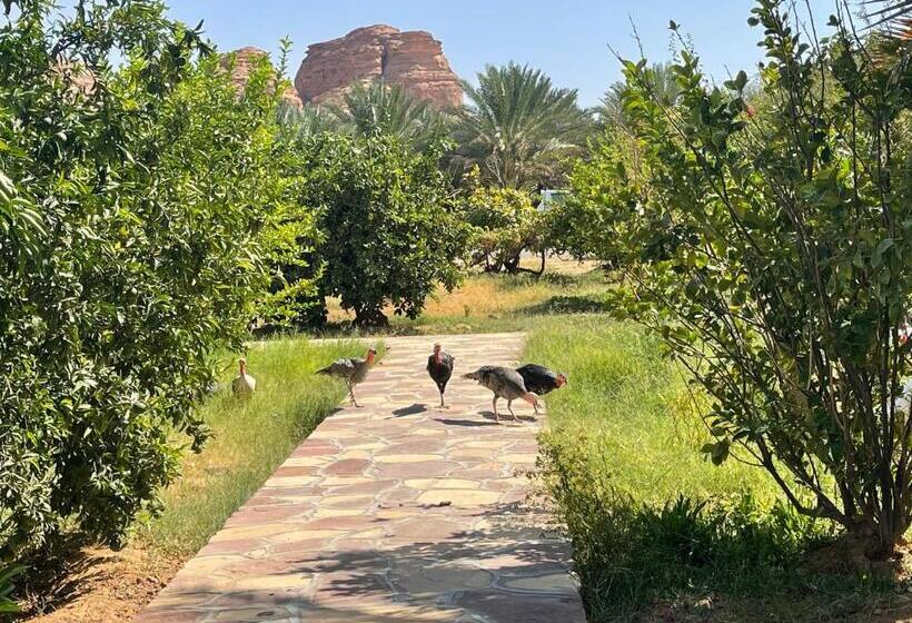 Номер Стандарт, Naseem Country House