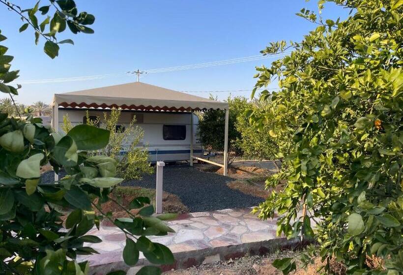 خانه 1 خوابه, Naseem Country House