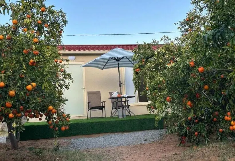 اتاق سوپریور با چشمانداز باغ, Naseem Country House