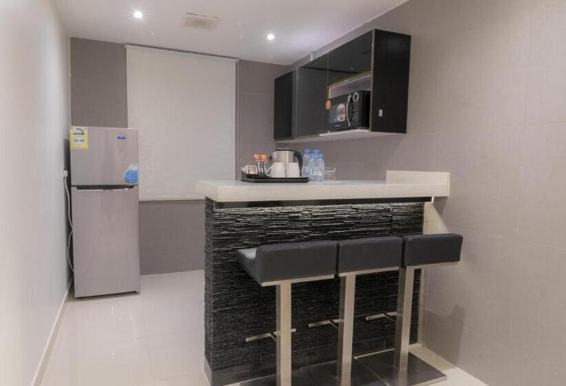 豪华套房, South Hotel Suites