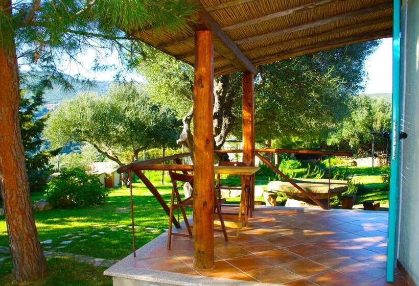 جناح مطلّ علي الحديقة, Domo S Altura