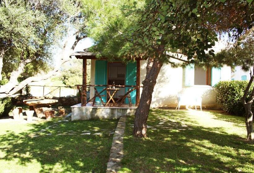 جناح مطلّ علي الحديقة, Domo S Altura