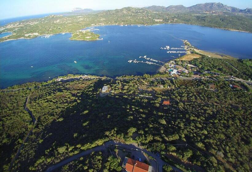 جناح ديلوكس مطل على البحر, Domo S Altura