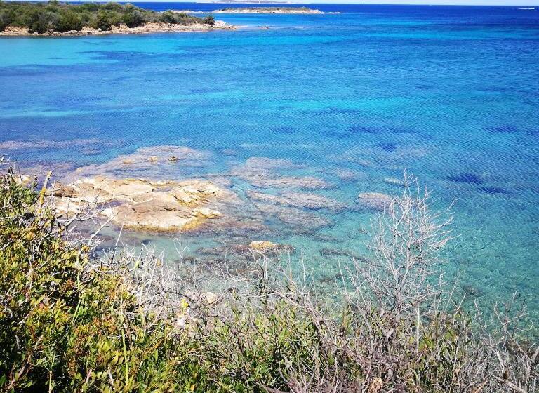 جناح جونيور مطل على الحديقة, Domo S Altura