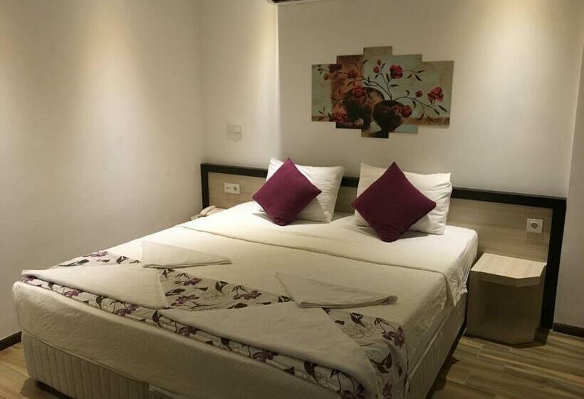 Quarto Estandar, Hermes