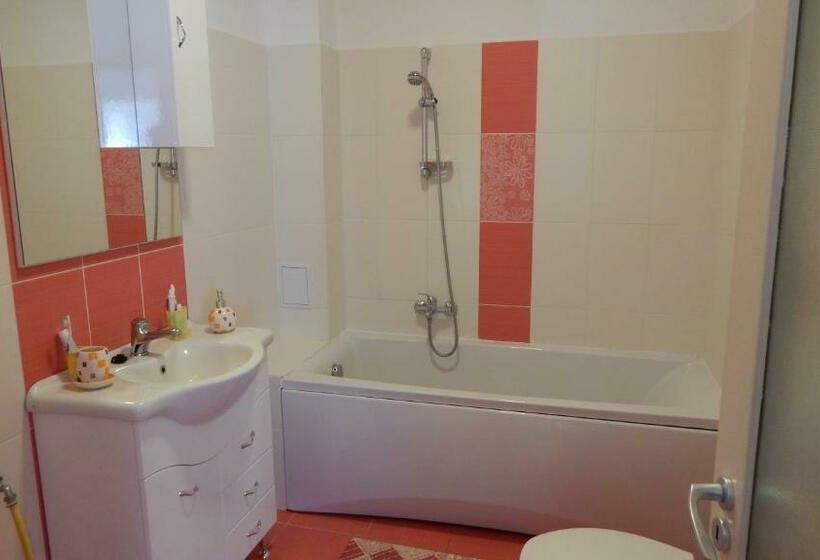 1ベッドルームアパートメント, Olt Part Vendégház