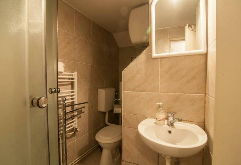 Номер Стандарт, Pensiunea Schneider