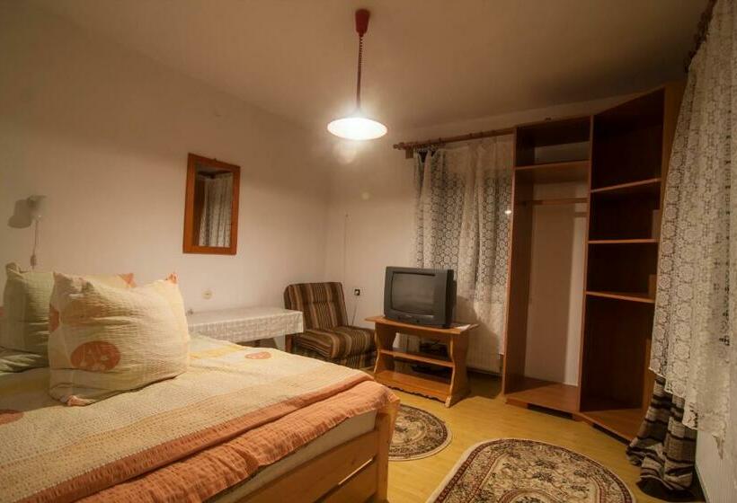 Номер Стандарт, Pensiunea Schneider