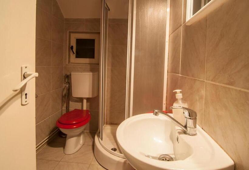 Номер Стандарт, Pensiunea Schneider