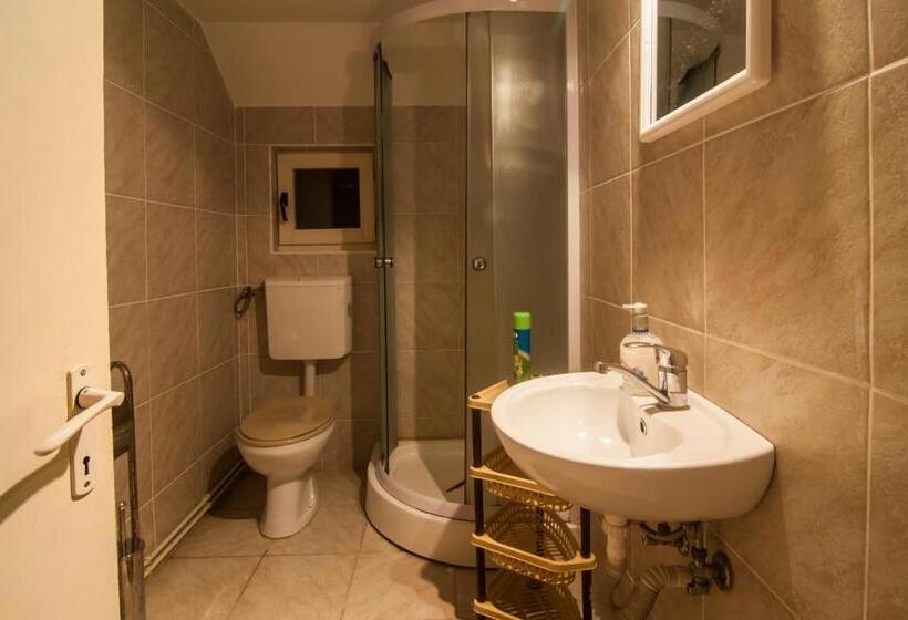 Номер Стандарт, Pensiunea Schneider