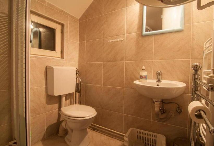 Номер Deluxe, Pensiunea Schneider