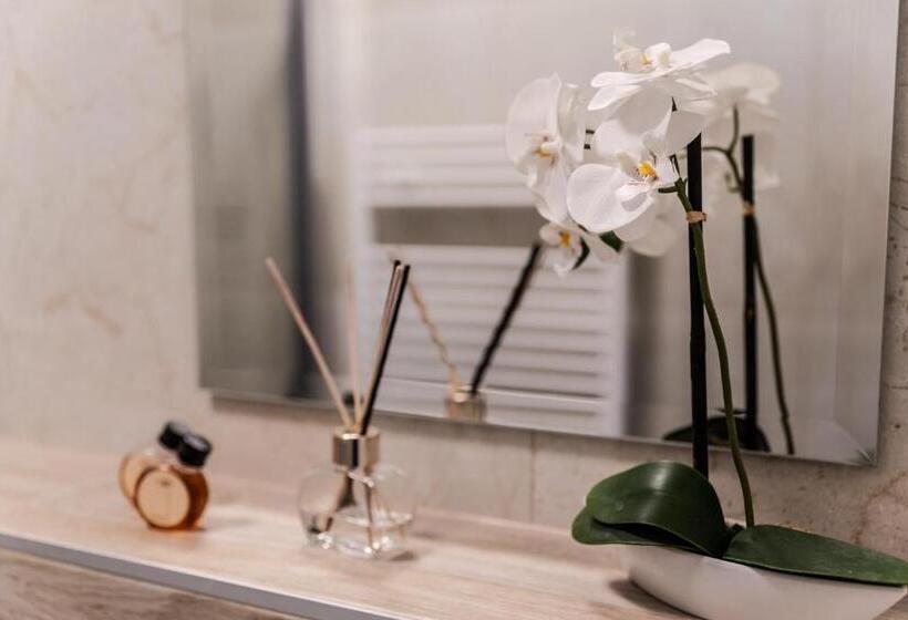 חדר סטנדרט, Aerocafe