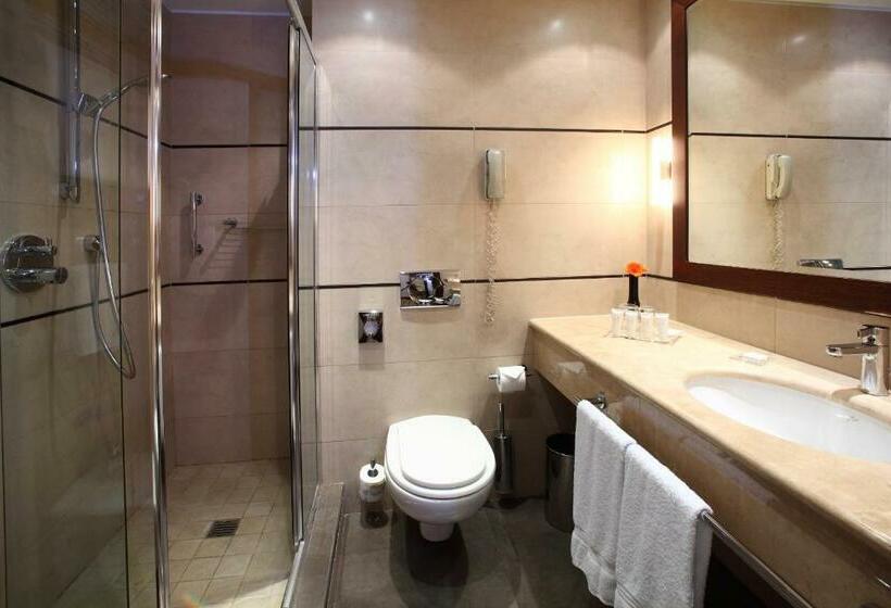 اتاق استاندارد, Starhotels Ritz