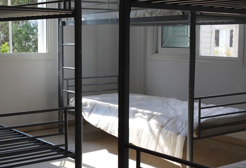 تختخواب در اتاق مشترک, Costas Hostel Action 2