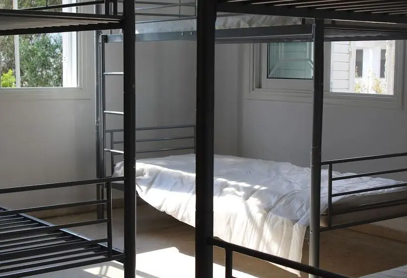 تختخواب در اتاق مشترک, Costas Hostel Action 2