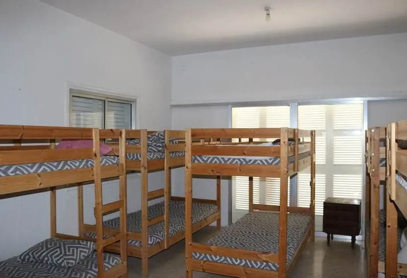 تختخواب در اتاق مشترک, Costas Hostel Action 2