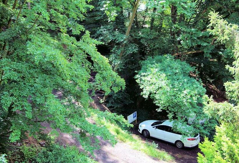 バルコニー付き１ベッドルームアパートメント, Haus Teufenbach