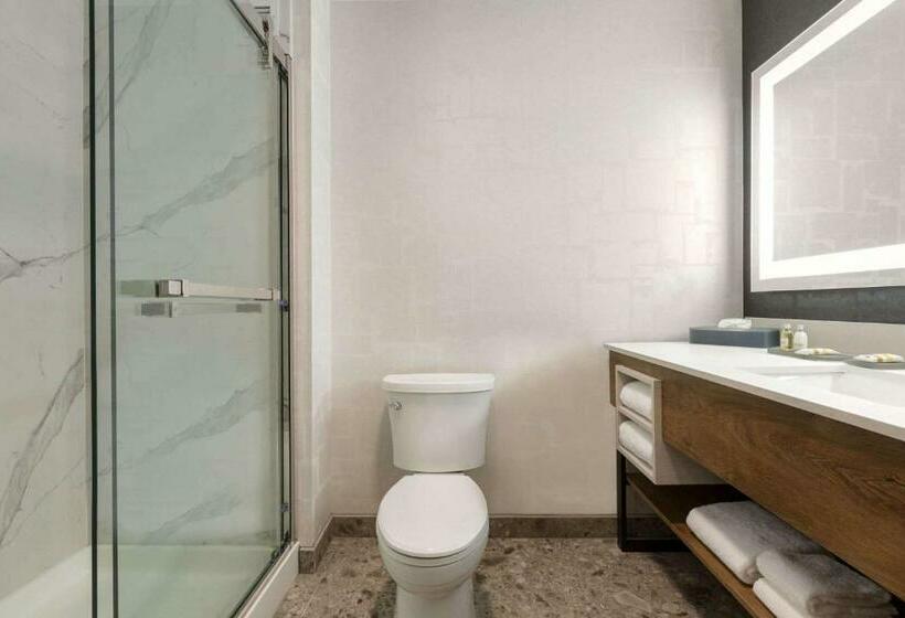 غرفة ديلوكس سرير كينج, La Quinta Inn & Suites By Wyndham Santa Rosa Sonoma