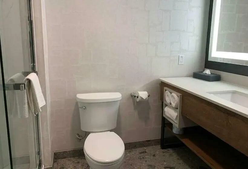 キングサイズベッドのデラックスルーム, La Quinta Inn & Suites By Wyndham Santa Rosa Sonoma