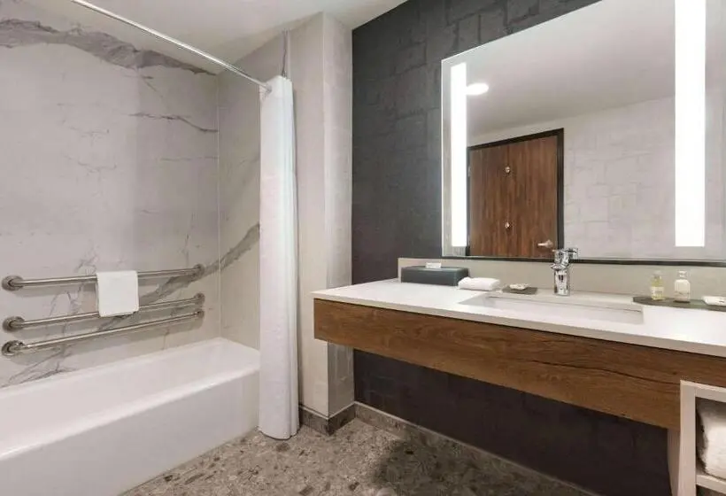 身障者適用キングサイズベッドルーム, La Quinta Inn & Suites By Wyndham Santa Rosa Sonoma
