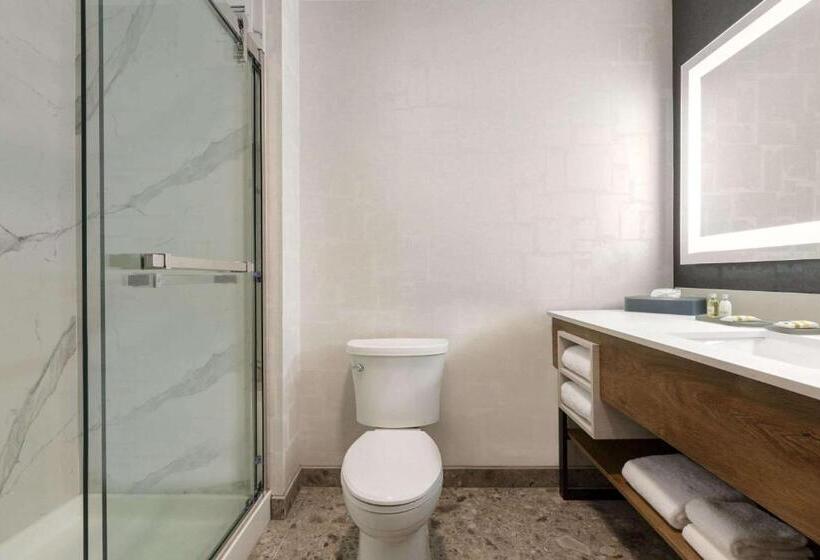 غرفة قياسية سرير كينج, La Quinta Inn & Suites By Wyndham Santa Rosa Sonoma