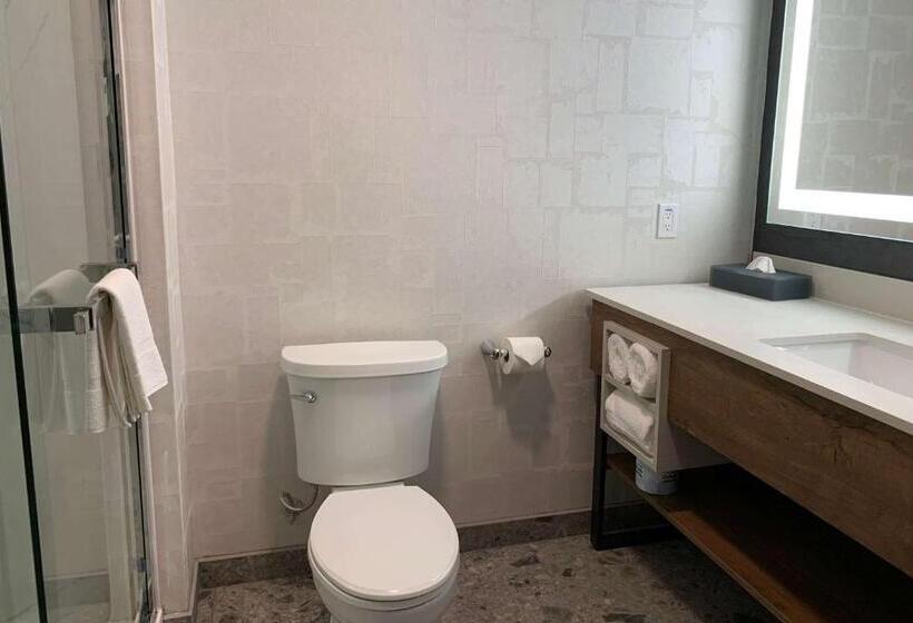 Стандартный Номер Кровать Кинг, La Quinta Inn & Suites By Wyndham Santa Rosa Sonoma