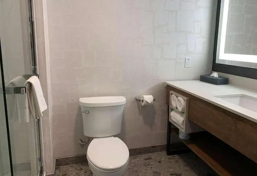 キングサイズベッドのスタンダードルーム, La Quinta Inn & Suites By Wyndham Santa Rosa Sonoma