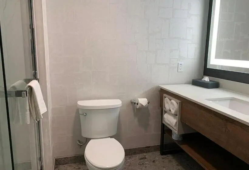 キングサイズベッドのスタンダードルーム, La Quinta Inn & Suites By Wyndham Santa Rosa Sonoma