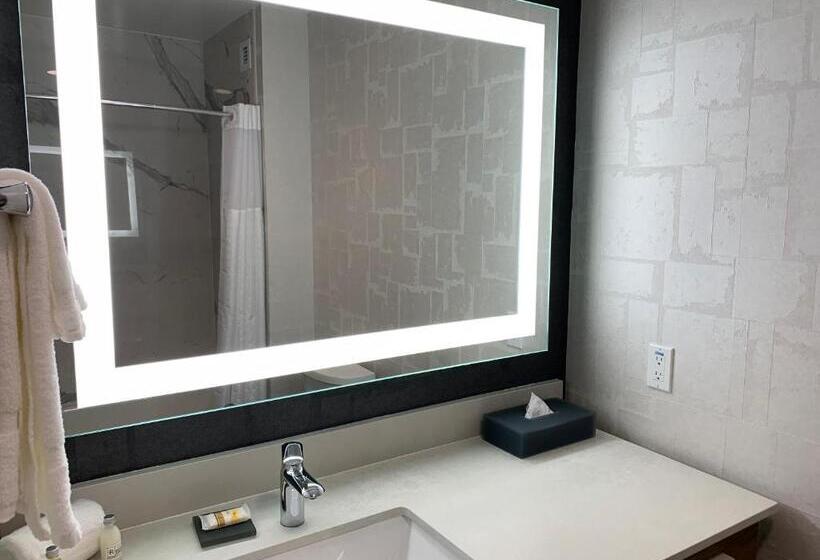 غرفة قياسية, La Quinta Inn & Suites By Wyndham Santa Rosa Sonoma