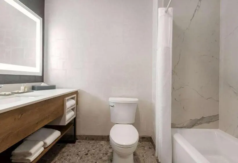 身障者適用スイートルーム, La Quinta Inn & Suites By Wyndham Santa Rosa Sonoma