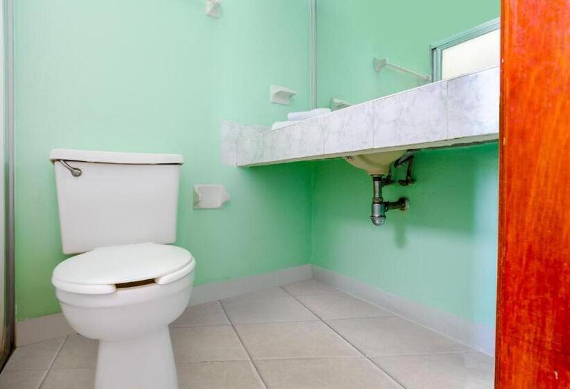 スタンダードルーム, Madero