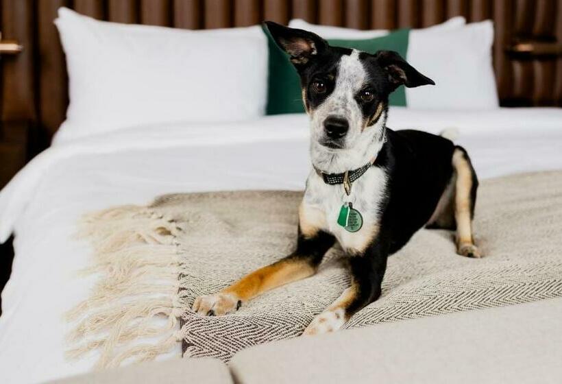 스탠다드 룸 킹사이즈 침대, Surety