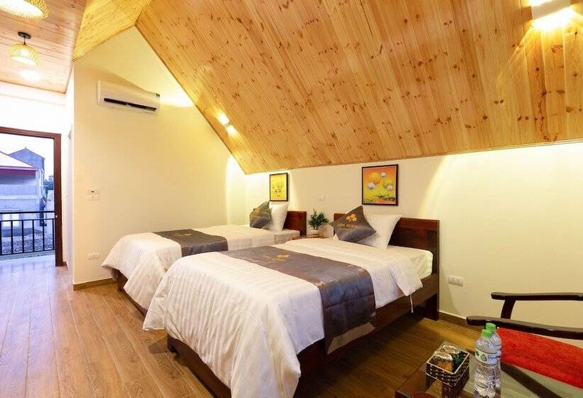 اتاق سوپریور, Sona Resort