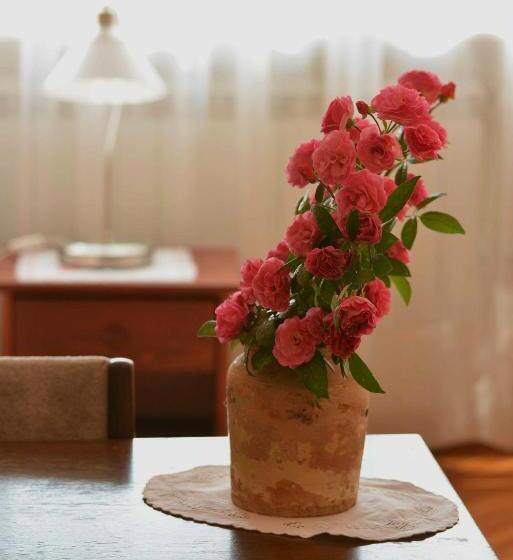 اتاق استاندارد سه نفره, Sobe Gajić Sremski Karlovci