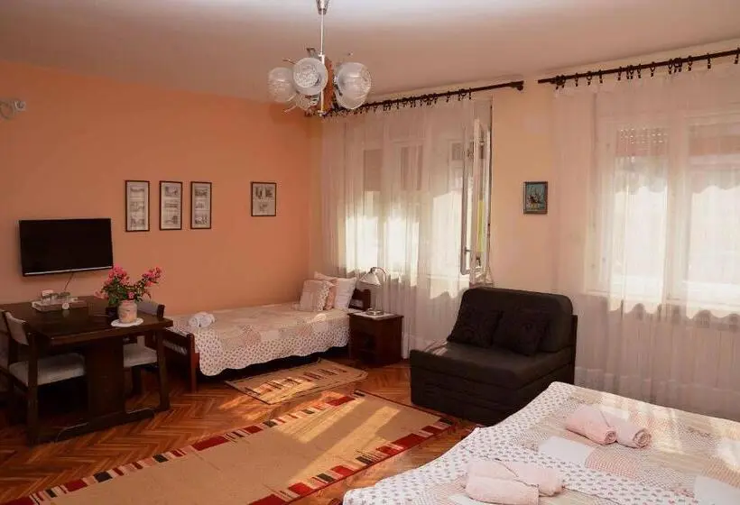 اتاق استاندارد سه نفره, Sobe Gajić Sremski Karlovci