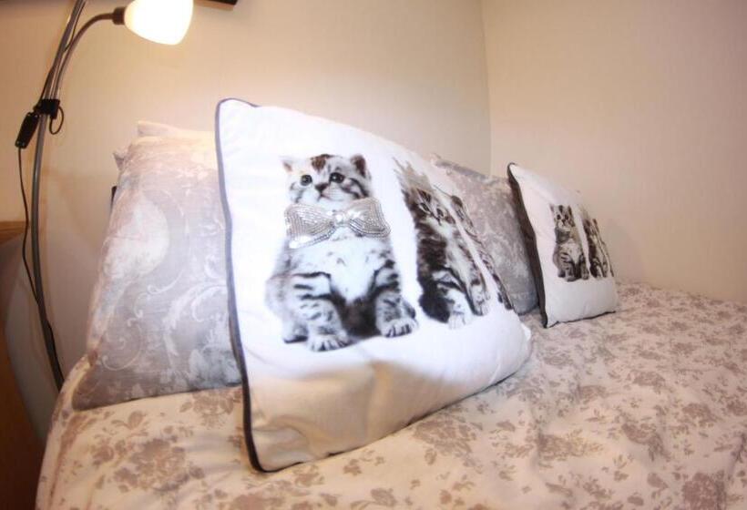 豪华房间, College Street Abode