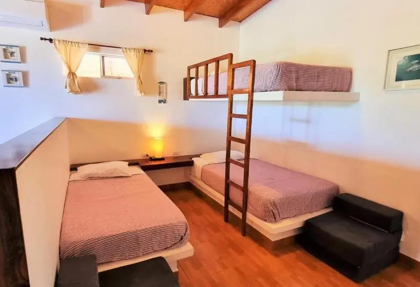 اتاق لوکس خانوادگی, Punta Del Norte Bungalows