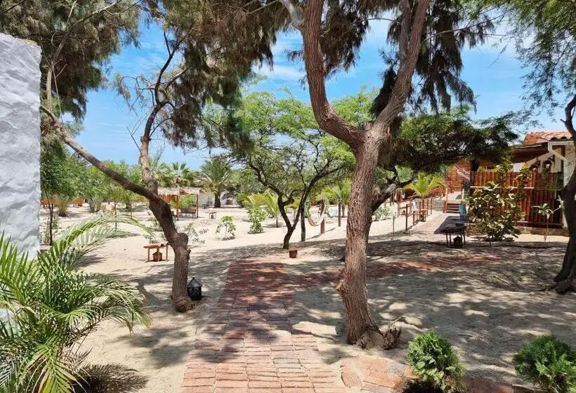 اتاق استاندارد با چشم‌انداز باغ, Punta Del Norte Bungalows