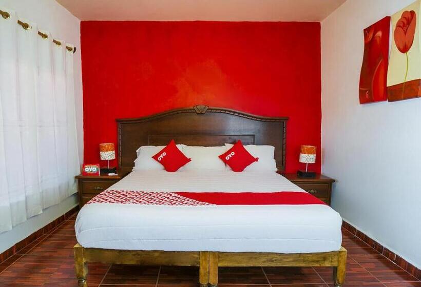 اتاق سوپریور, Oyo Posada Los Angeles