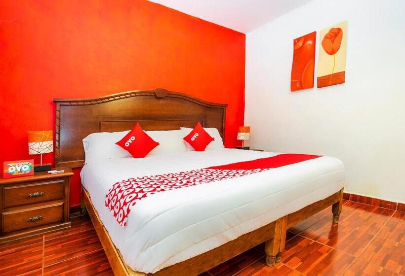 اتاق سوپریور, Oyo Posada Los Angeles