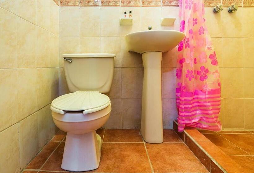 اتاق استاندارد, Oyo Posada Los Angeles