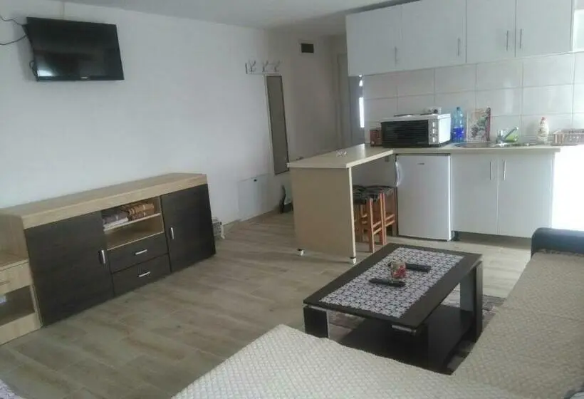 اتاق لوکس با چشم‌انداز شهر, Apartmani Babići