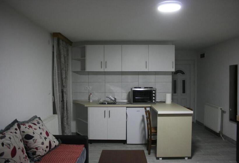 اتاق لوکس با بالکن, Apartmani Babići