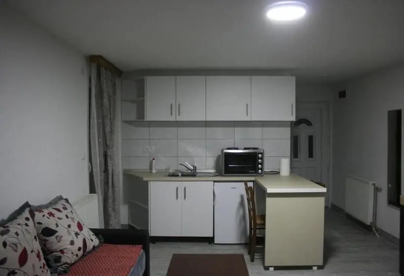 اتاق لوکس با بالکن, Apartmani Babići