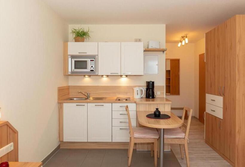 Standard Studio med Balkong, Yachthafenresidenz