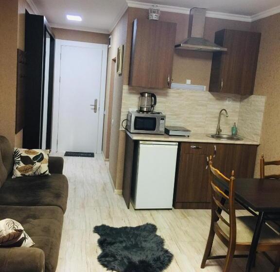 استودیوی استاندارد, New Gudauri Apartment Belle Epoque With A Terrace