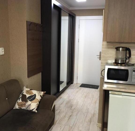 استودیوی استاندارد, New Gudauri Apartment Belle Epoque With A Terrace