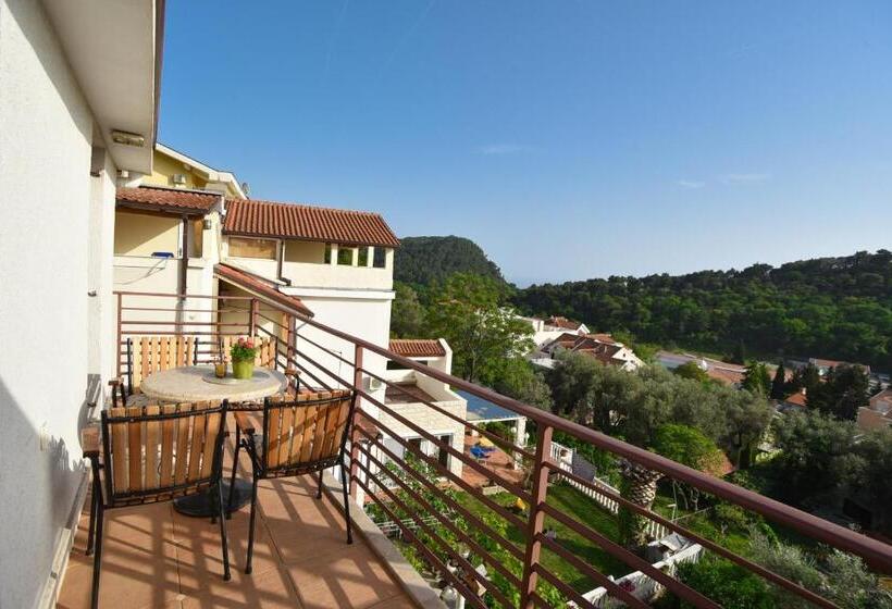 آپارتمان 1 خوابه با چشمانداز دریا, Guest House Jedro